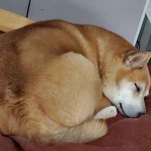 Meet your Posher, May